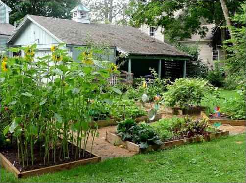 pur your home into homesteading